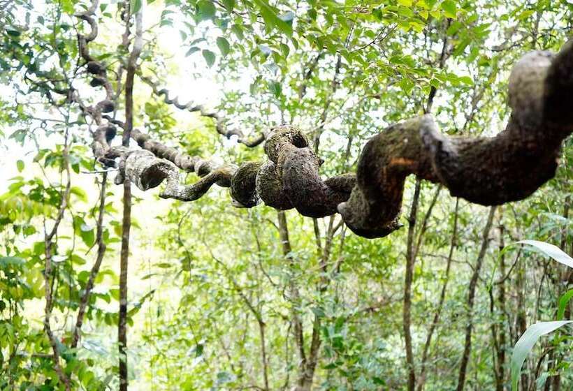 Mount K Resort Hostel