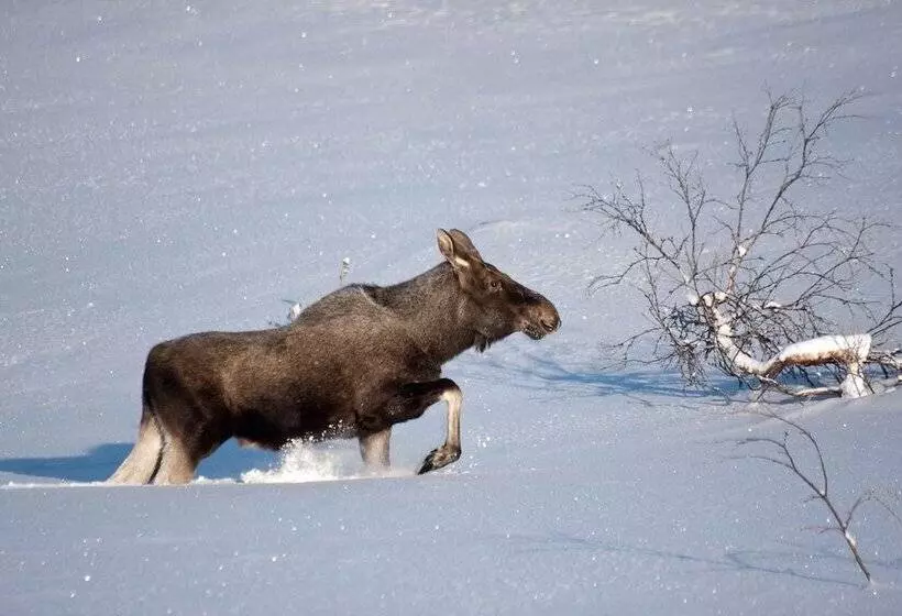 Majatalo Klimpfjällsgården Hotel & Restaurant