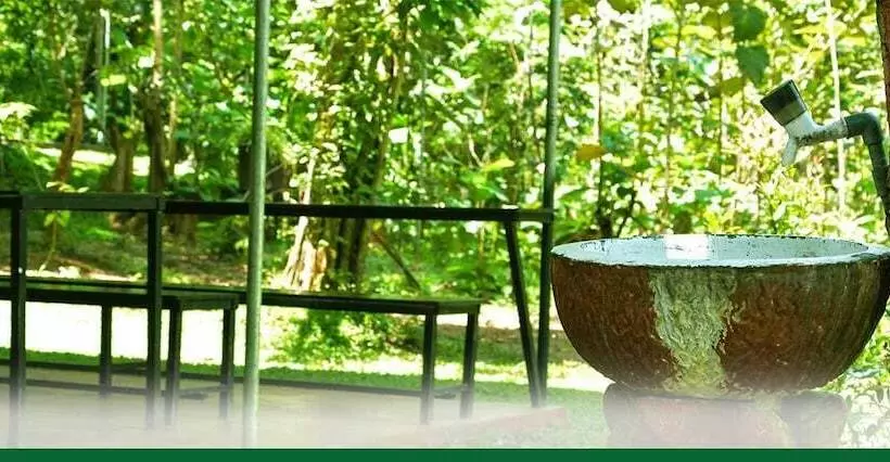 پانسیون Yuhibuhi Forest Resort