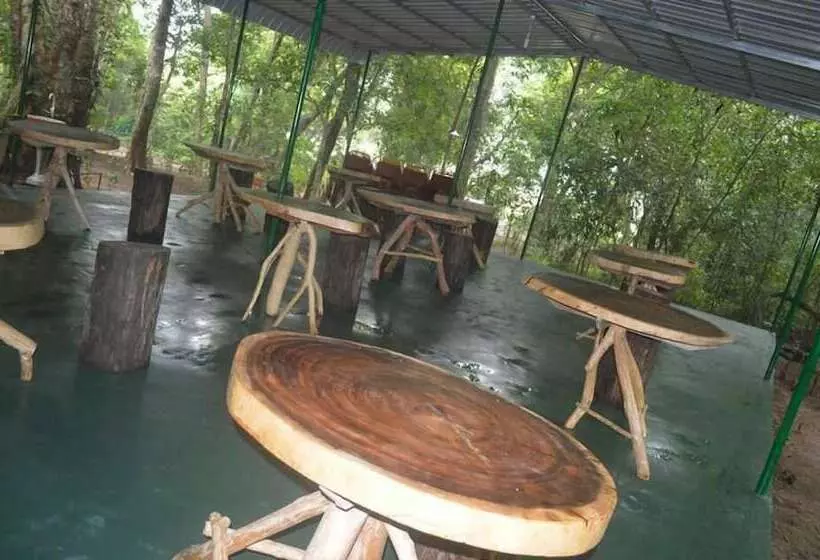 پانسیون Yuhibuhi Forest Resort