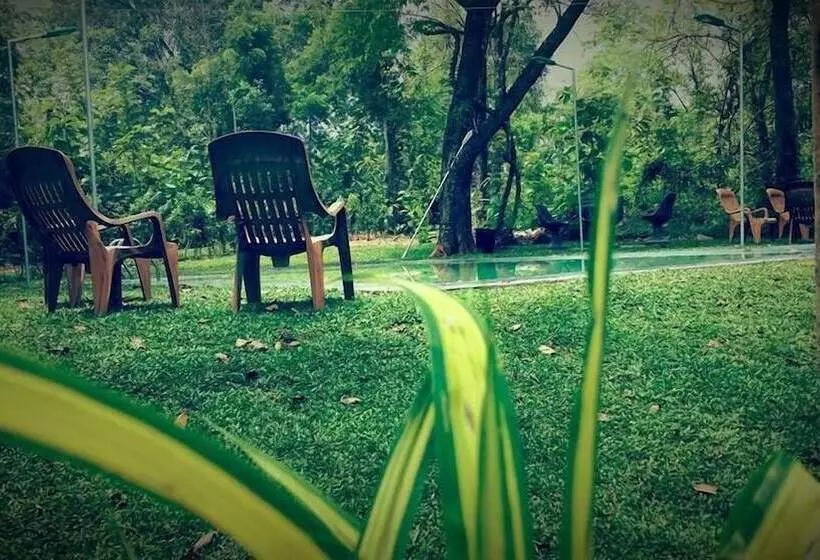 پانسیون Yuhibuhi Forest Resort