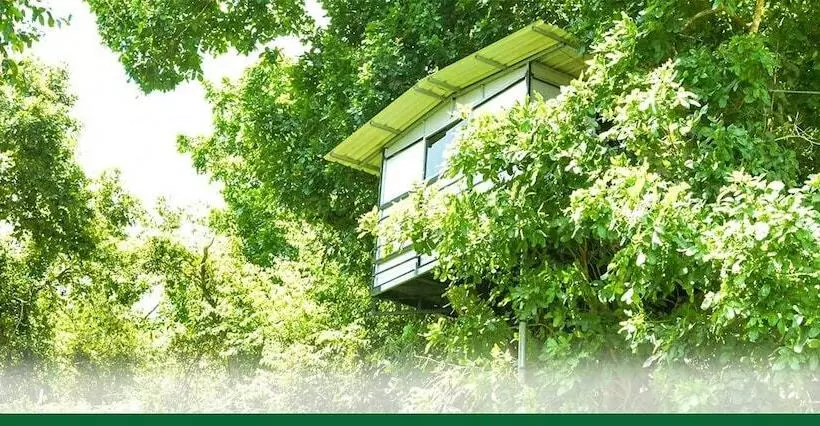 پانسیون Yuhibuhi Forest Resort