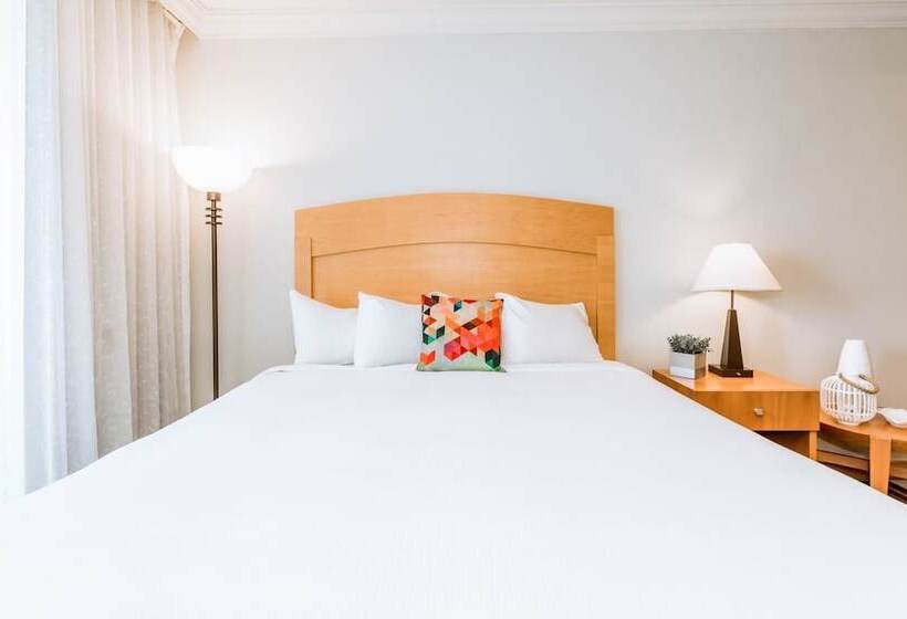 هتل 219 Sea Shell Studio