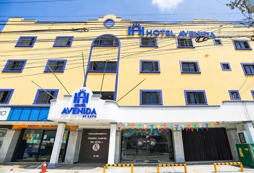 فندق Avenida Cancun