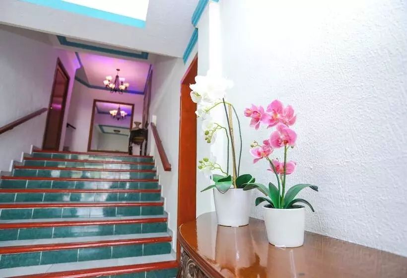 فندق Avenida Cancun