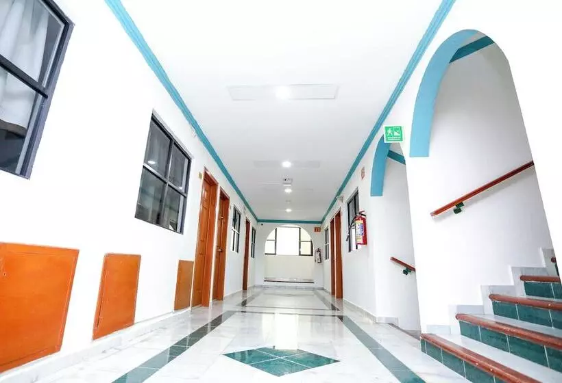 فندق Avenida Cancun