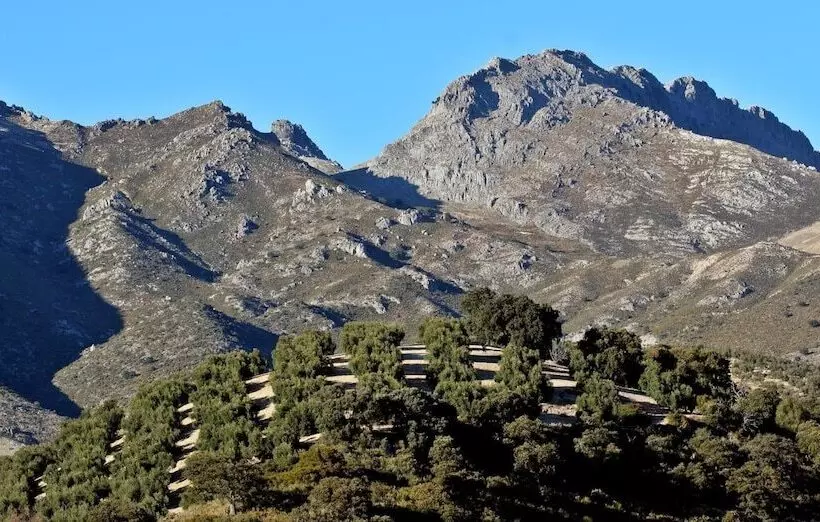 Отель Huerta De Las Palomas