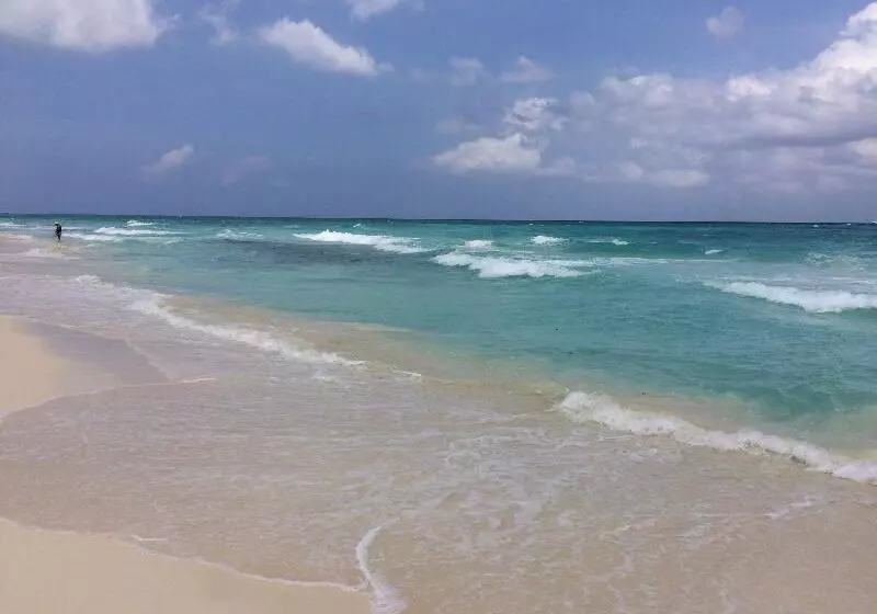 호텔 Las Golondrinas