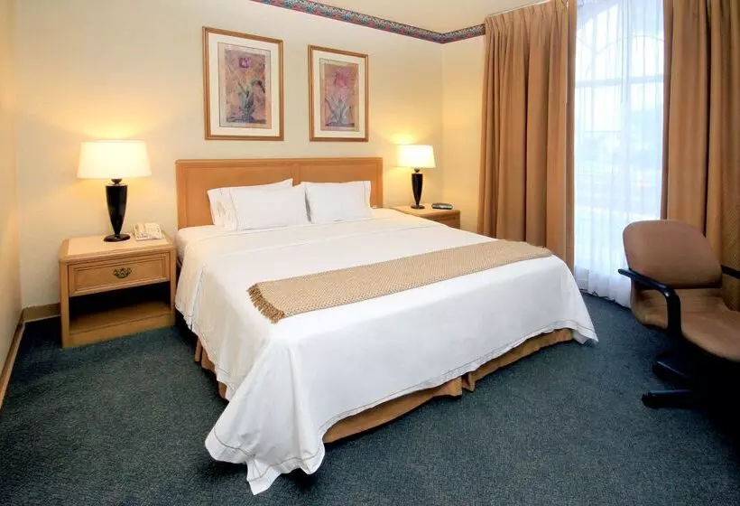 Istay Hotel Ciudad Victoria