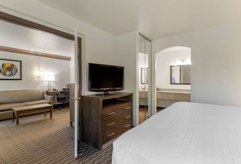 فندق Aiden Austin City