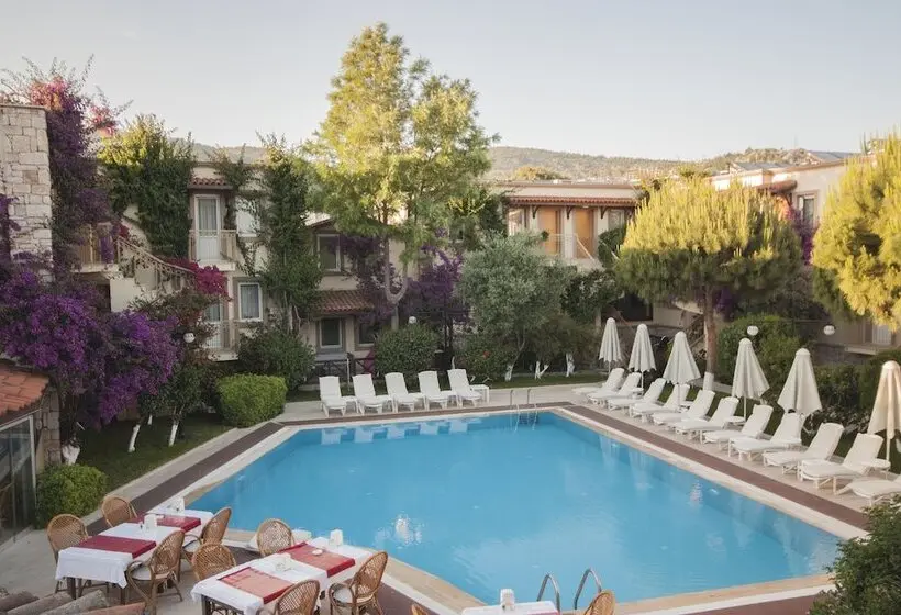 Moonshine Hotel & Suites