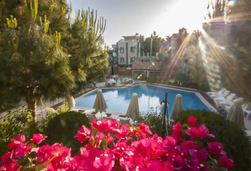 Moonshine Hotel & Suites