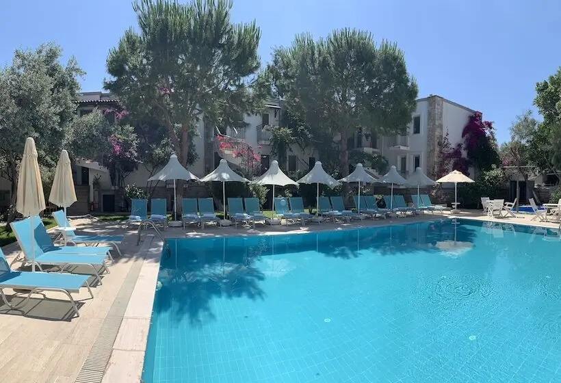 Moonshine Hotel & Suites