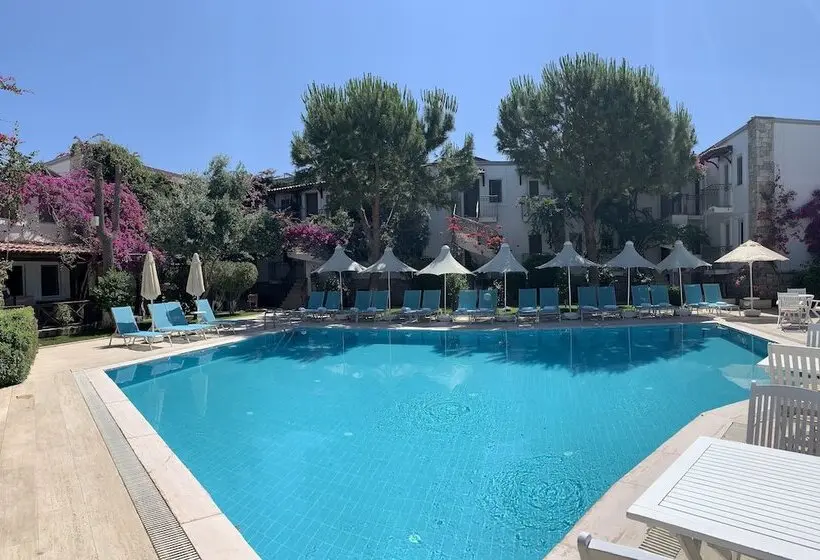 Moonshine Hotel & Suites