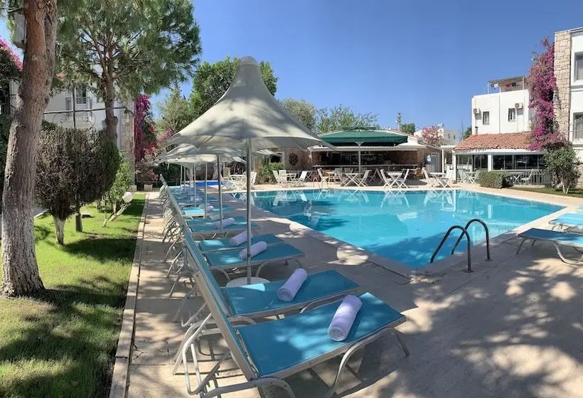 Moonshine Hotel & Suites