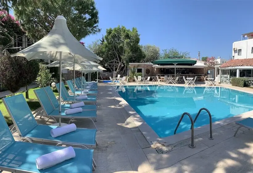 Moonshine Hotel & Suites