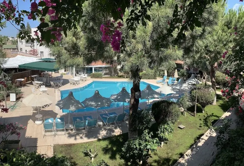 Moonshine Hotel & Suites