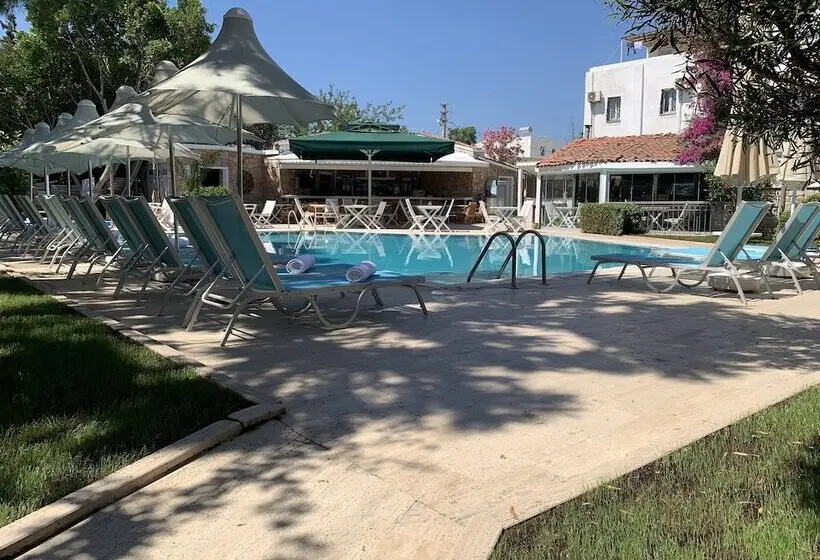 Moonshine Hotel & Suites