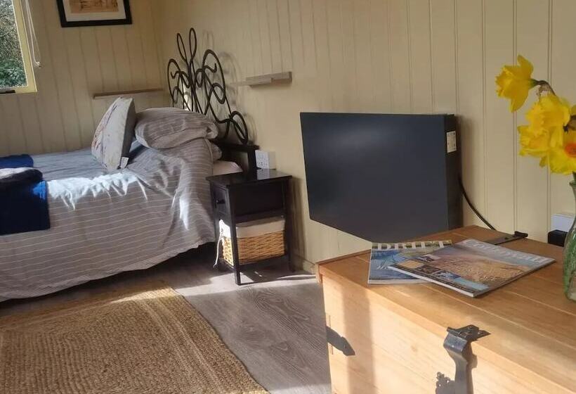 فندق Safari Cornwall