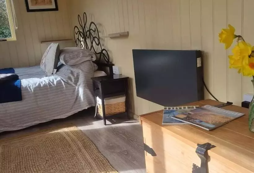 ホテル Safari Cornwall