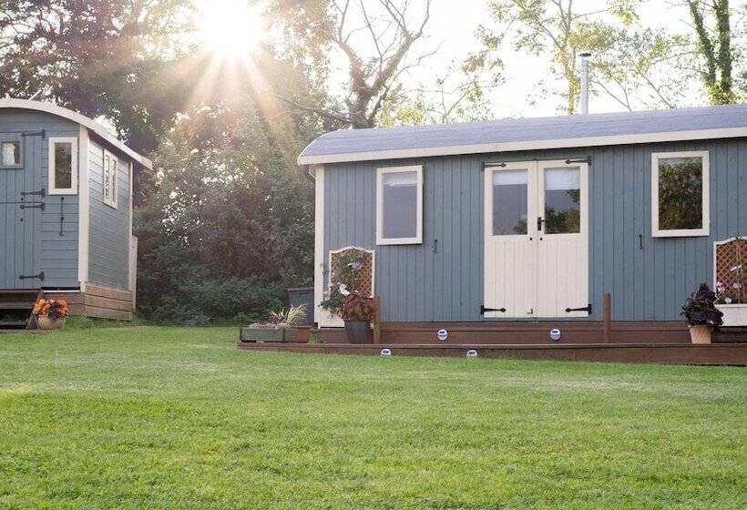 فندق Safari Cornwall