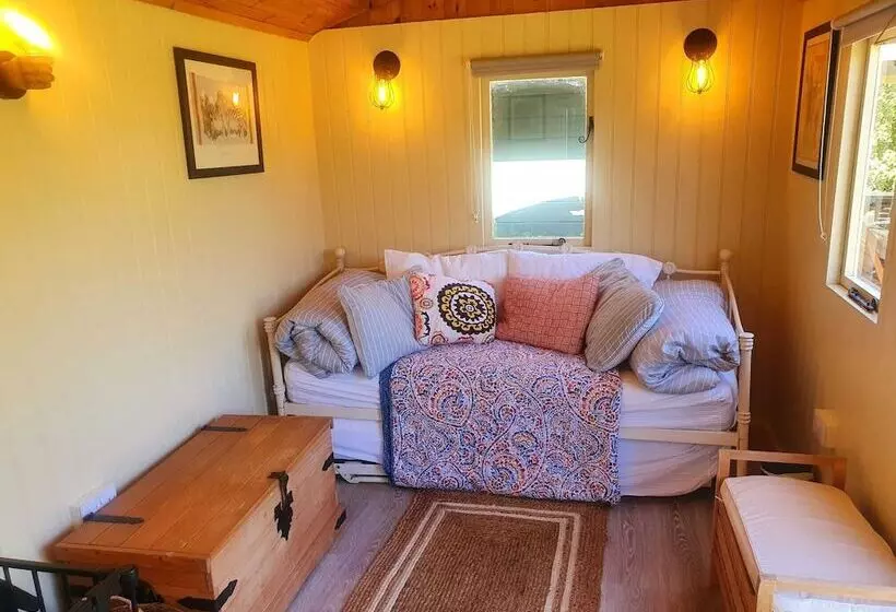 ホテル Safari Cornwall