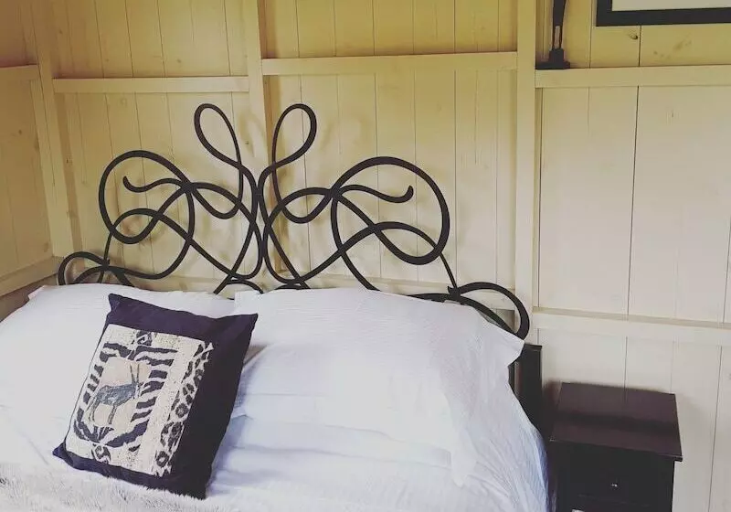 ホテル Safari Cornwall