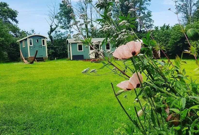 ホテル Safari Cornwall