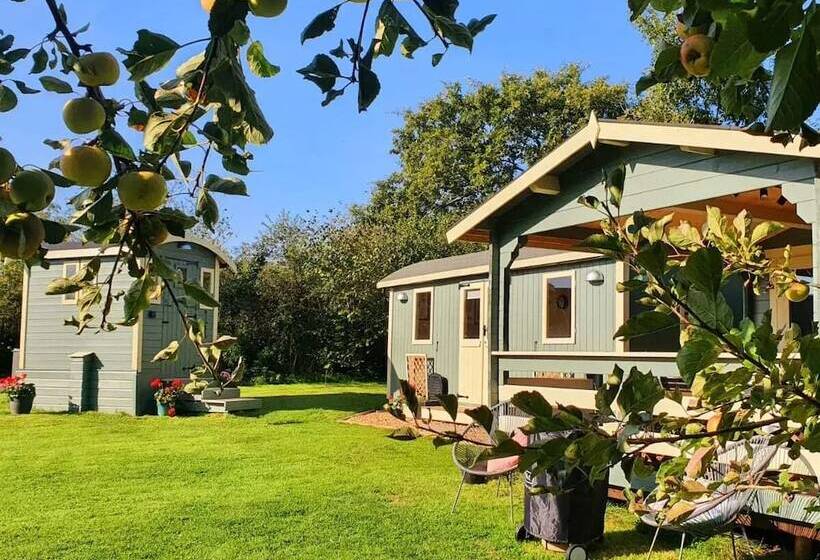 فندق Safari Cornwall