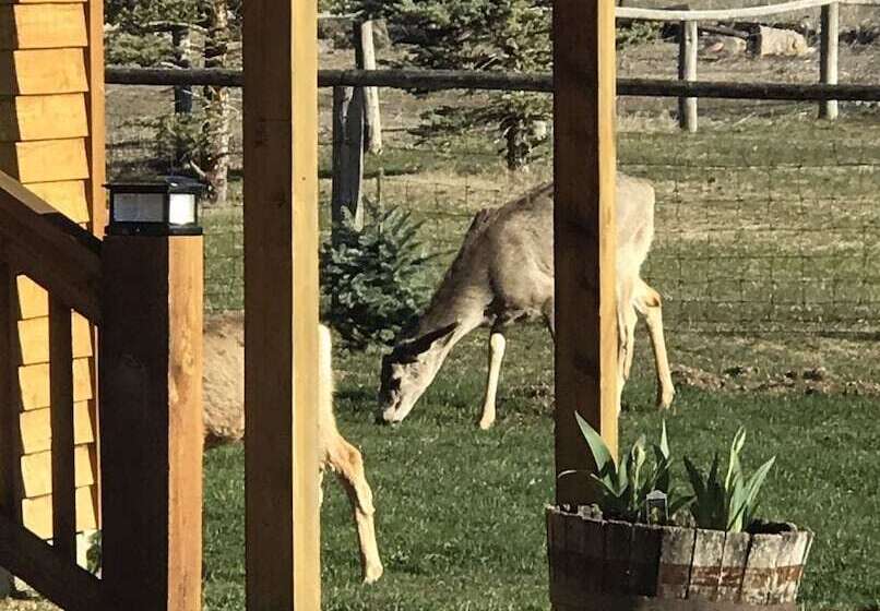 بنسيون Z Bar Z Ranch Guest Loft