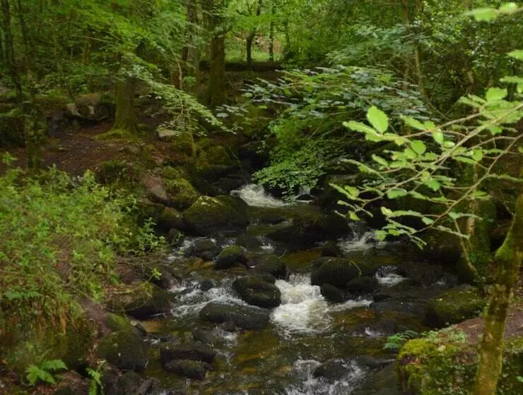 Secluded Meadow, Unique Shire Hut, Perfect Camping