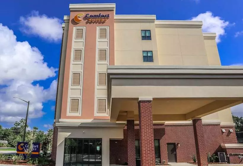 ホテル Comfort Suites Gainesville Near University