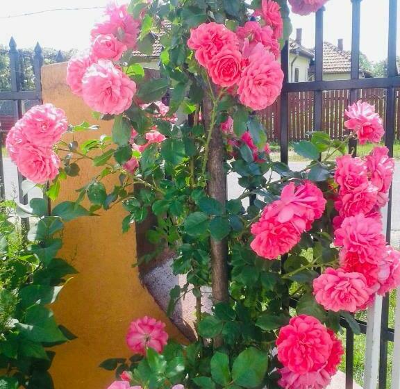 ペンション Casa Emilia