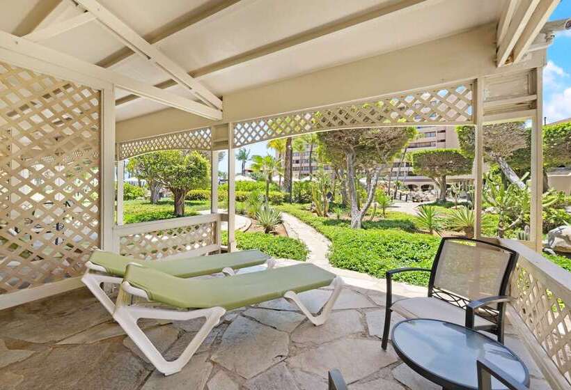 هتل Barceló Aruba All Inclusive