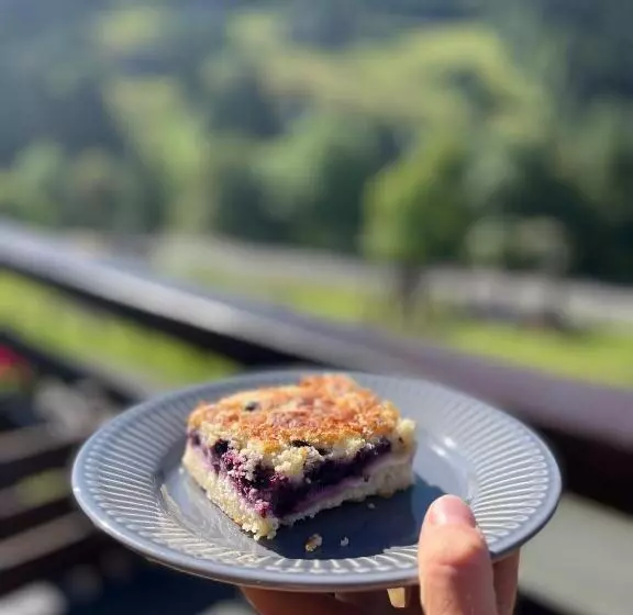 Majatalo útulna Craft   Penzion Veronika