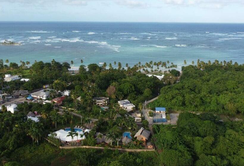 تختخواب و صبحانه Solazul