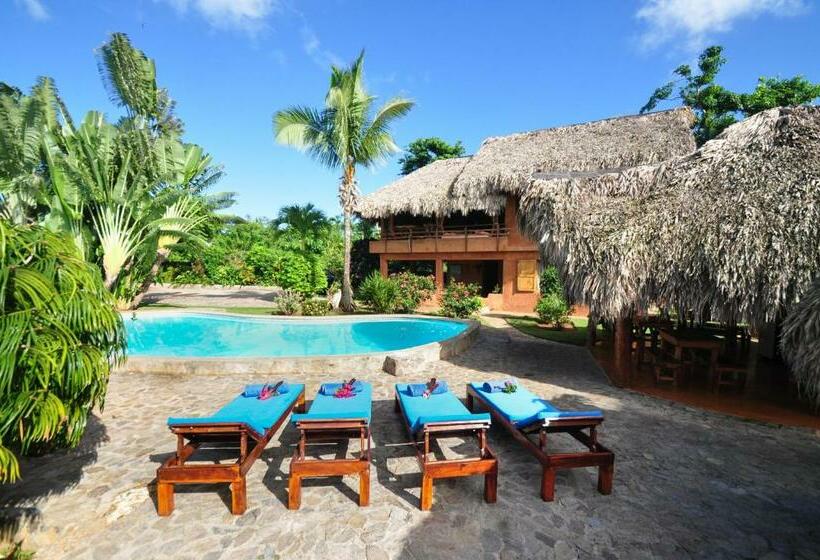 تختخواب و صبحانه Solazul