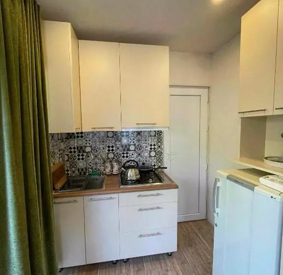 پانسیون Borjomi View