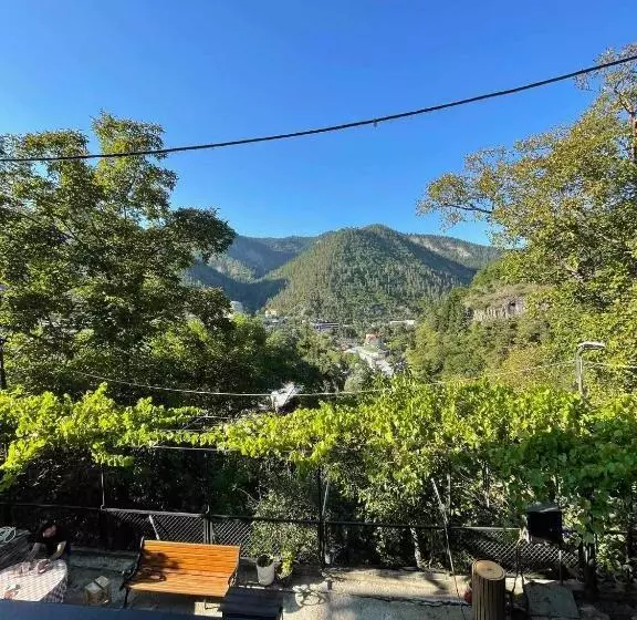 پانسیون Borjomi View