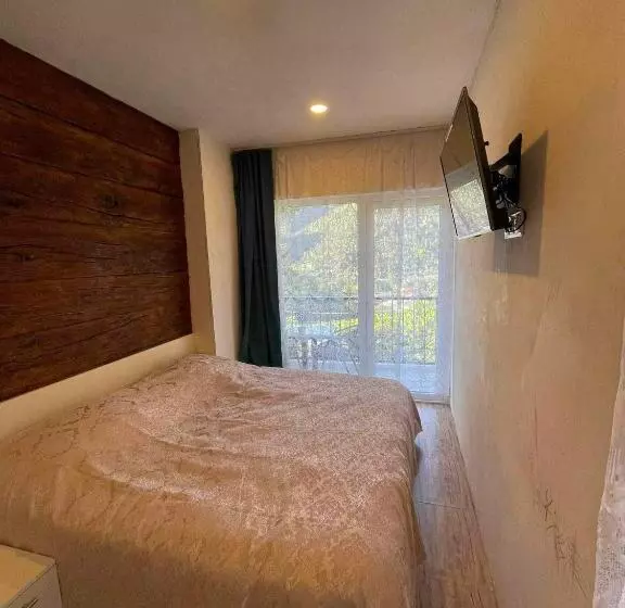 پانسیون Borjomi View