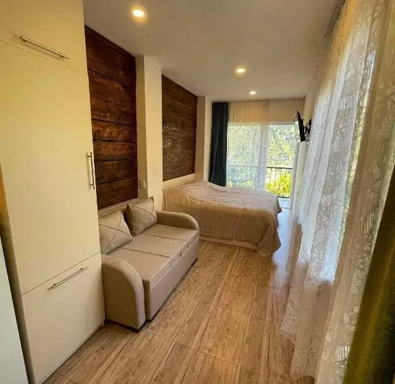 پانسیون Borjomi View