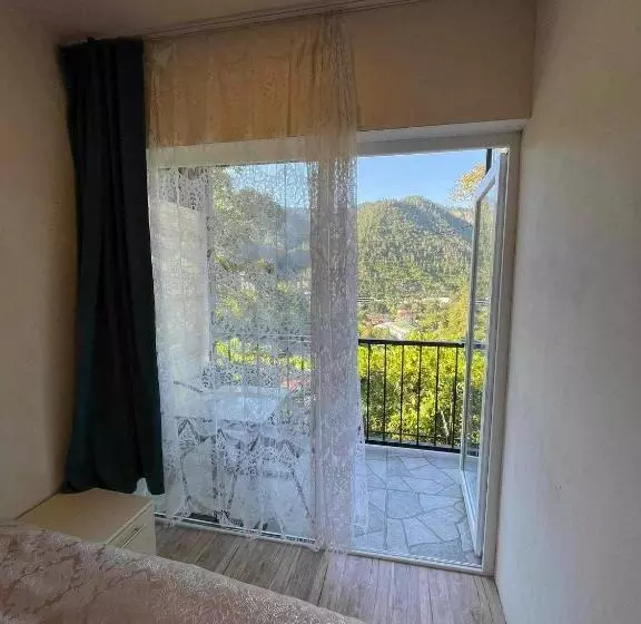 پانسیون Borjomi View