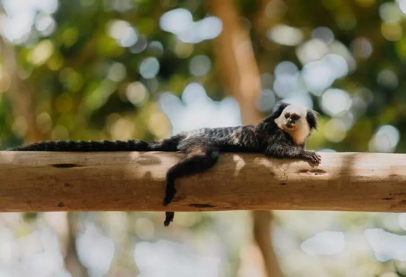 Majatalo Casa Pitanga Caraíva