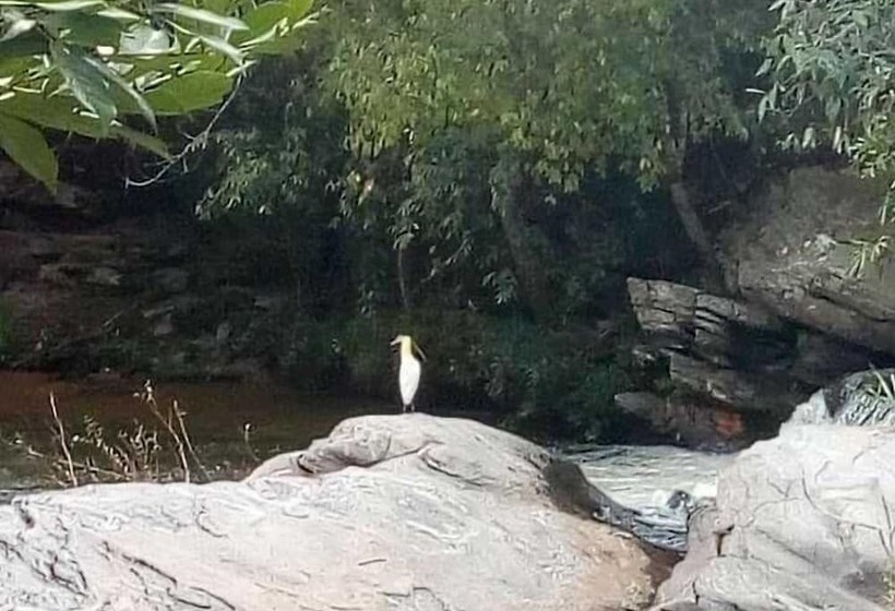 پانسیون Pouso Do Rio