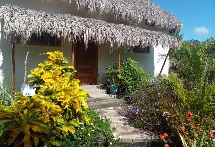 Majatalo Twoten° Surf Home