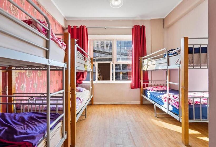 فندق صغير Frienz Backpacker