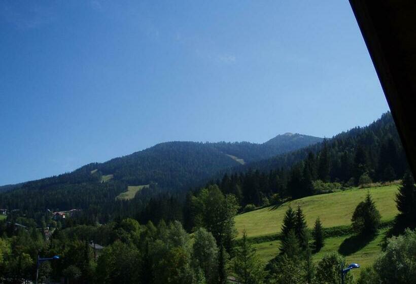 Appartement Pension Grasser