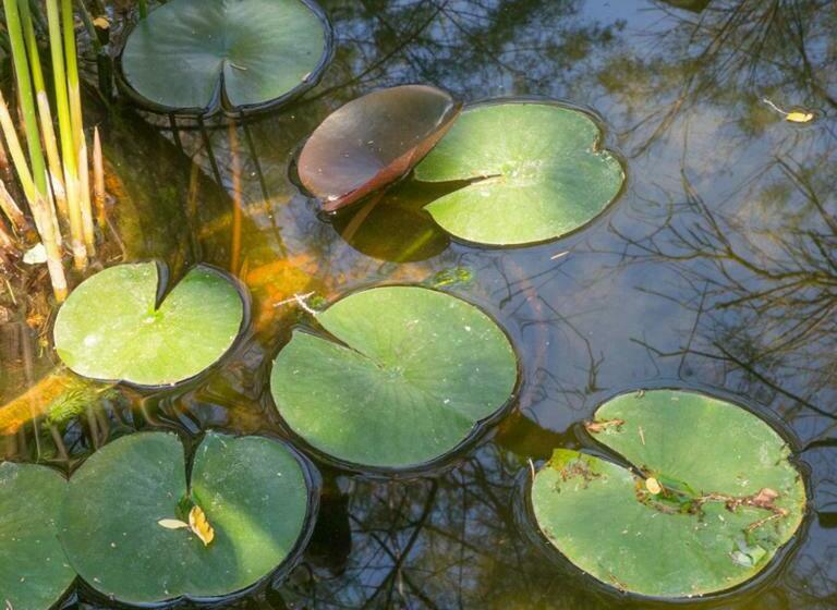 تختخواب و صبحانه Chambres D'hôtes Les Baumes