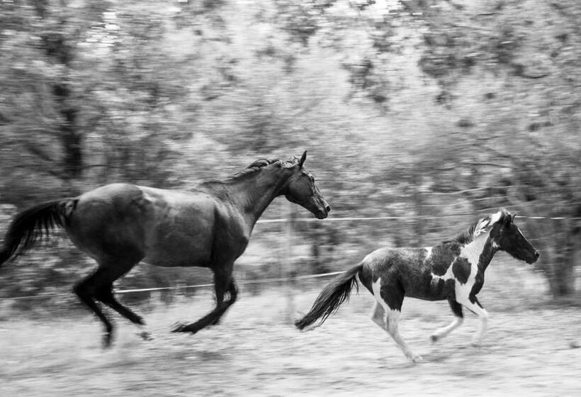 تختخواب و صبحانه Chambres D'hôtes Les Baumes