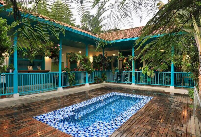 هتل Casa De Las Dos Palmas